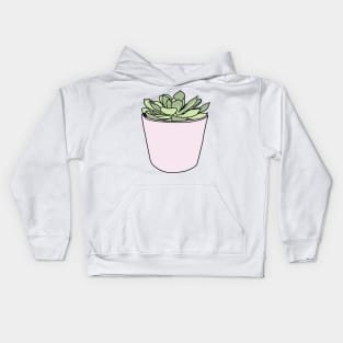 Green succulent in pink flowerpots Kids Hoodie